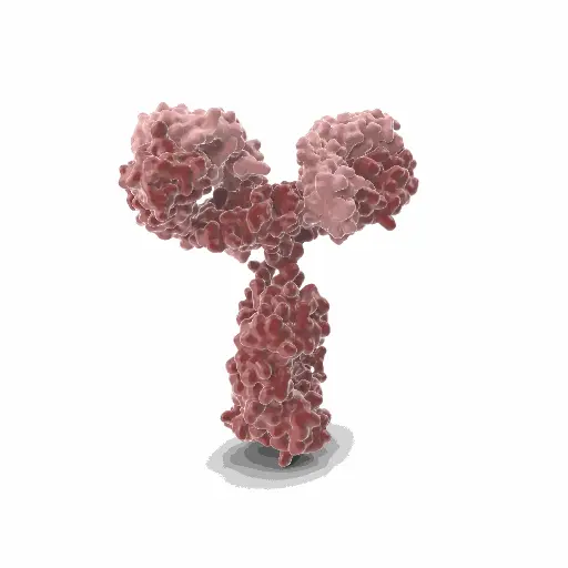 [GEN-ANTI-09] Gentaur RedPE Monoclonal Antibody