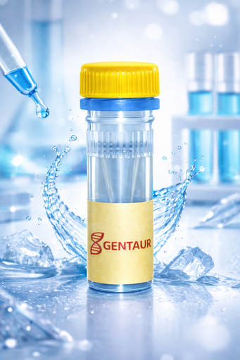 [SK1637] Malate dehydrogenase